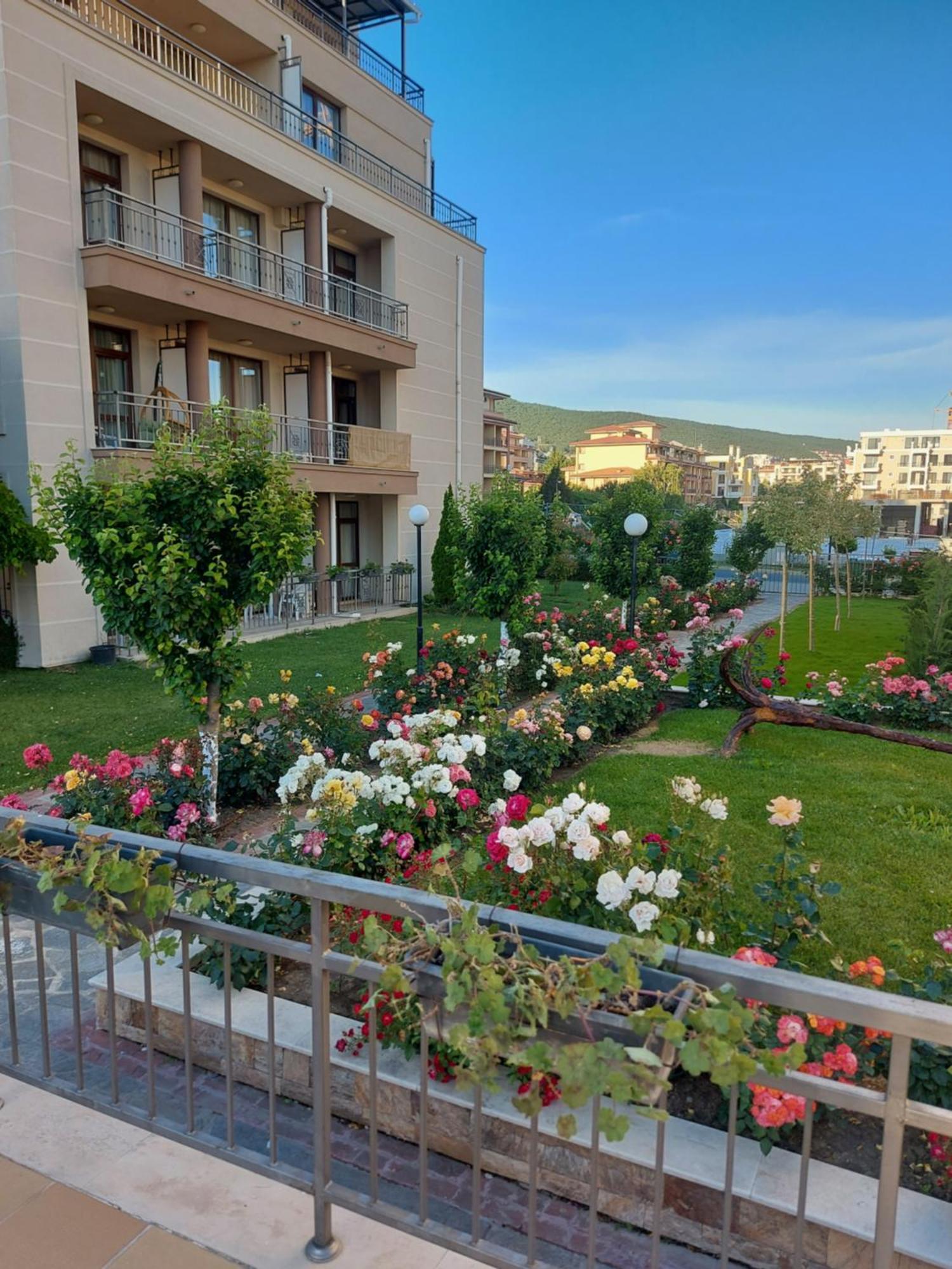 Charming Studio In Sorrento Sole Mare Светий Влас Екстер'єр фото